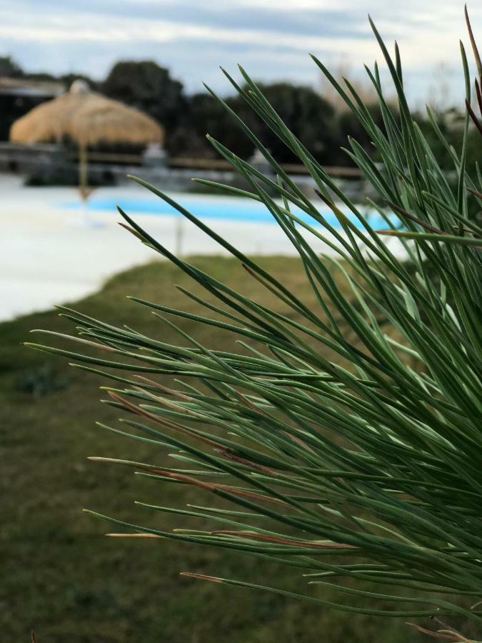 Villa Elisabeth Pláka エクステリア 写真